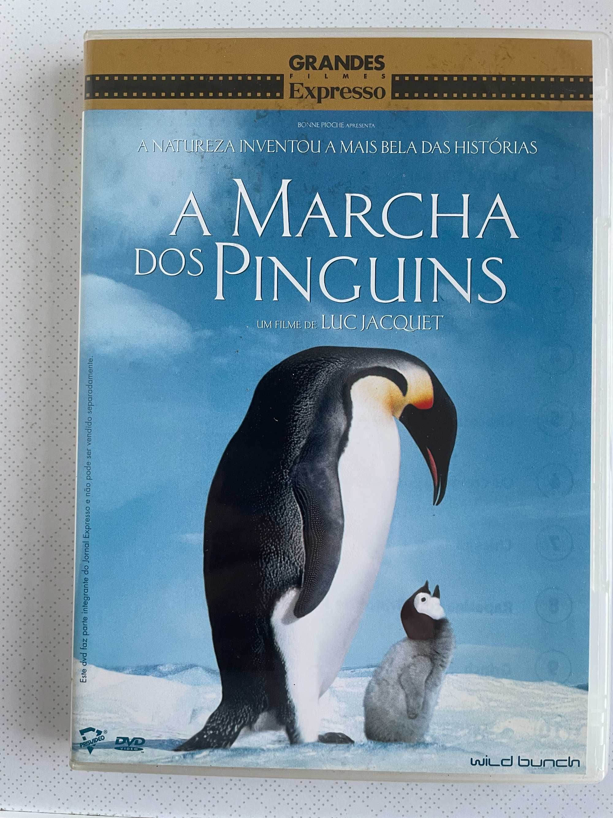 A marcha dos pinguins / La marche de l'empereur