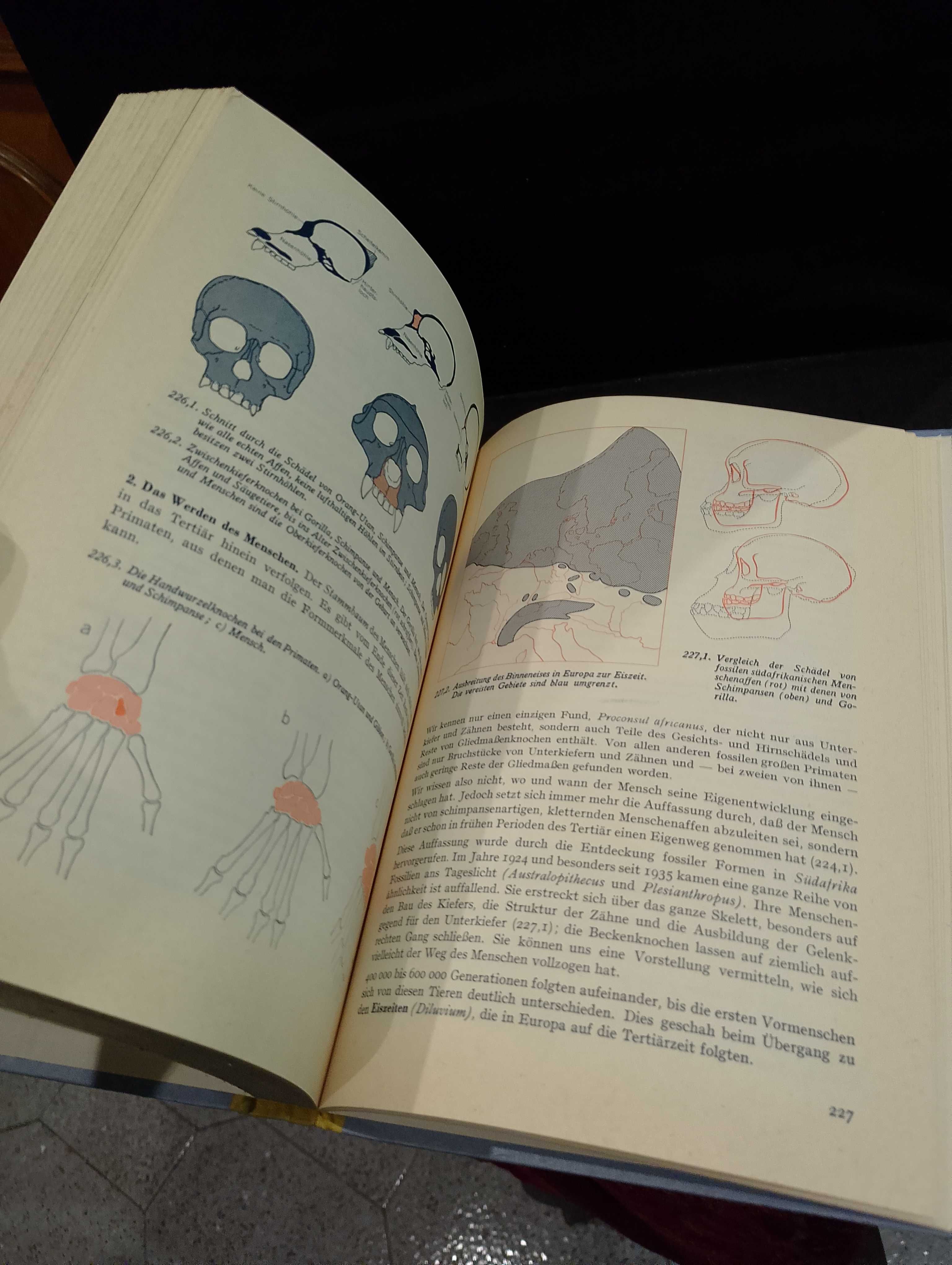 Kletts Biologisches Unterrichtswerk - Band VII