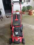 Vendo equipamentos para limpeza de terrenos €450,00