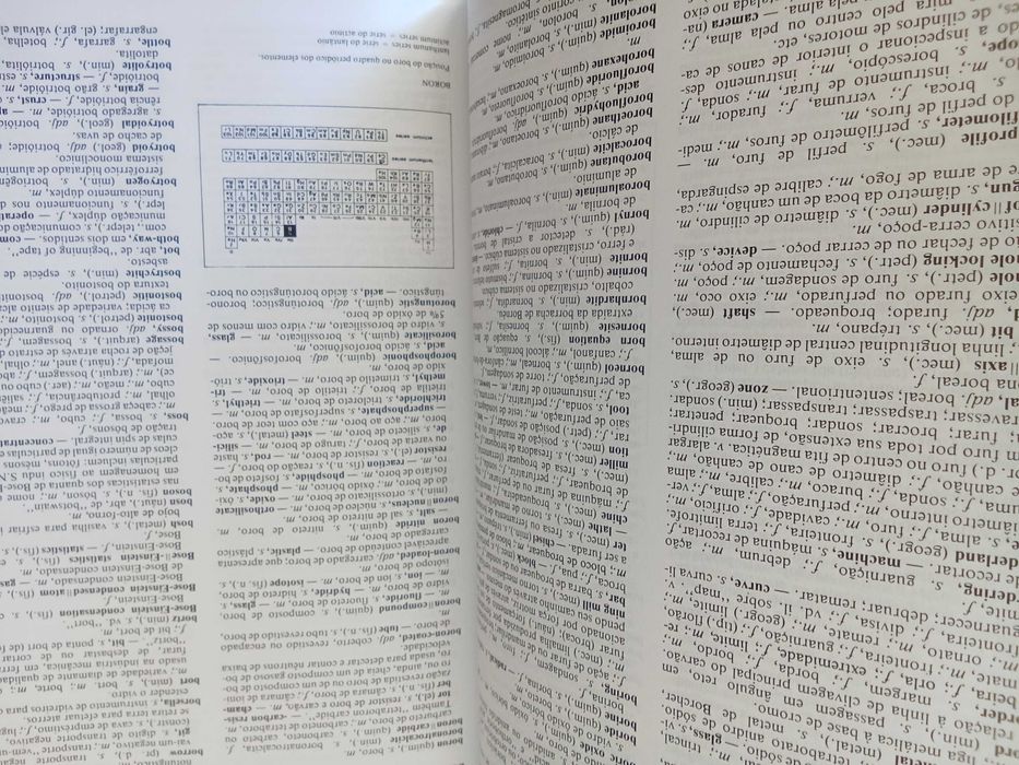 Novo Dicionário de Termos Técnicos Inglês-Português (2 vols.)