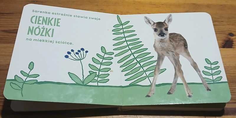 Maluchy w lesie - książeczka dla dzieci