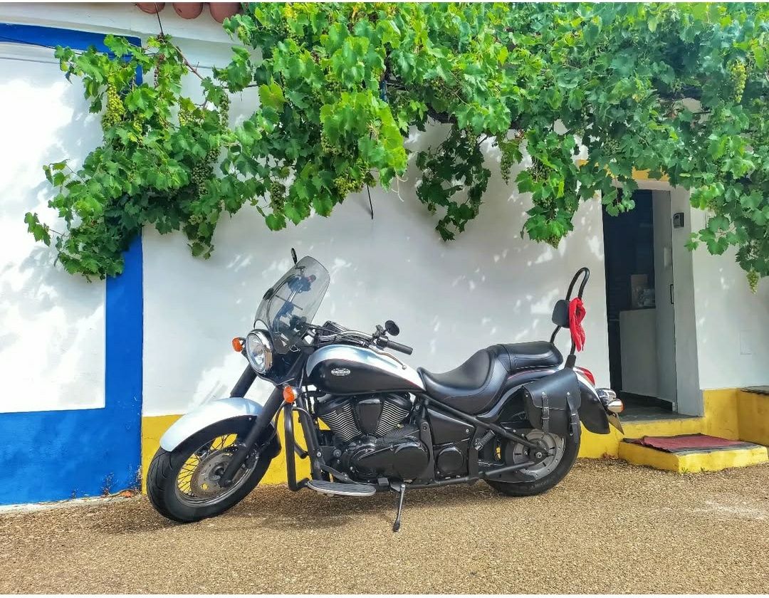 Kawasaki VN900 Classic Edição Limitada 2015