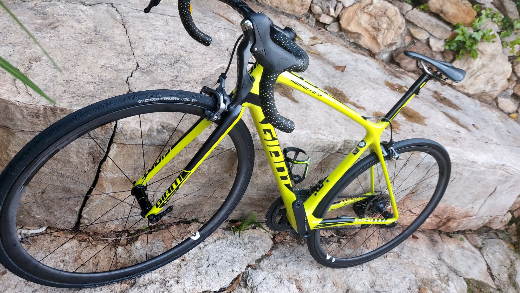 Giant TCR SL t52