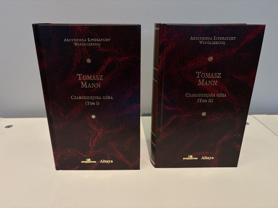 Czarodziejska Góra Tomasz Mann Arcydzieła Literatury Współczesnej