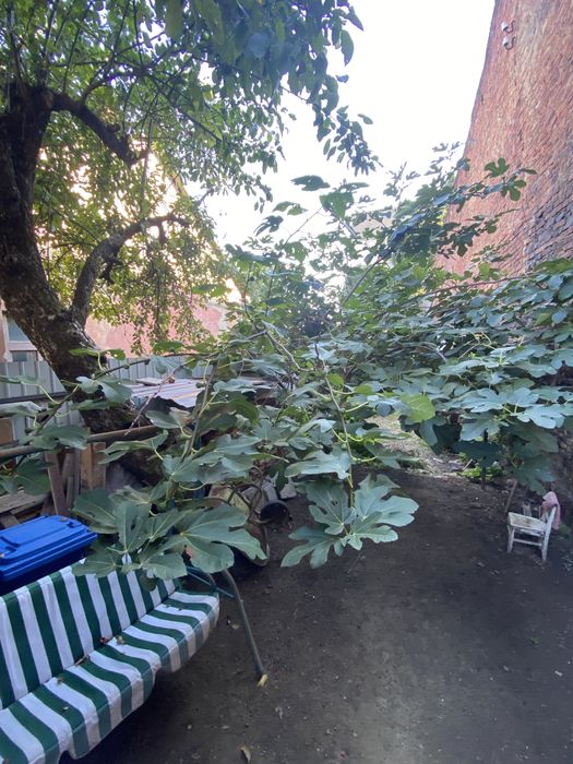 Продаж будинку в центрі міста