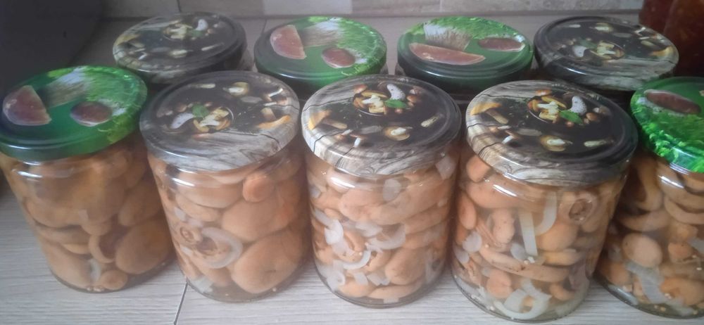 Rydze w zalewie octowej 540ml 1szt.24zl 7 sztuk 168zl-zbior 2025R