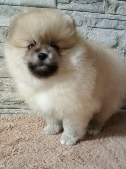 Яскрава та позитивна