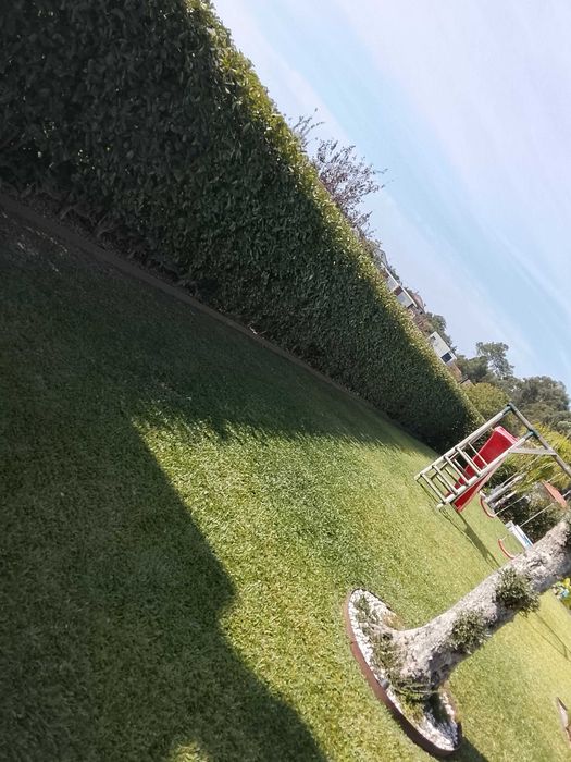 Jardinagem marco