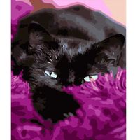 Картина по номерам черный кот мишка сова за цифрами за номерами