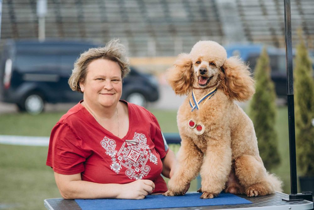 Пудель для в'язки