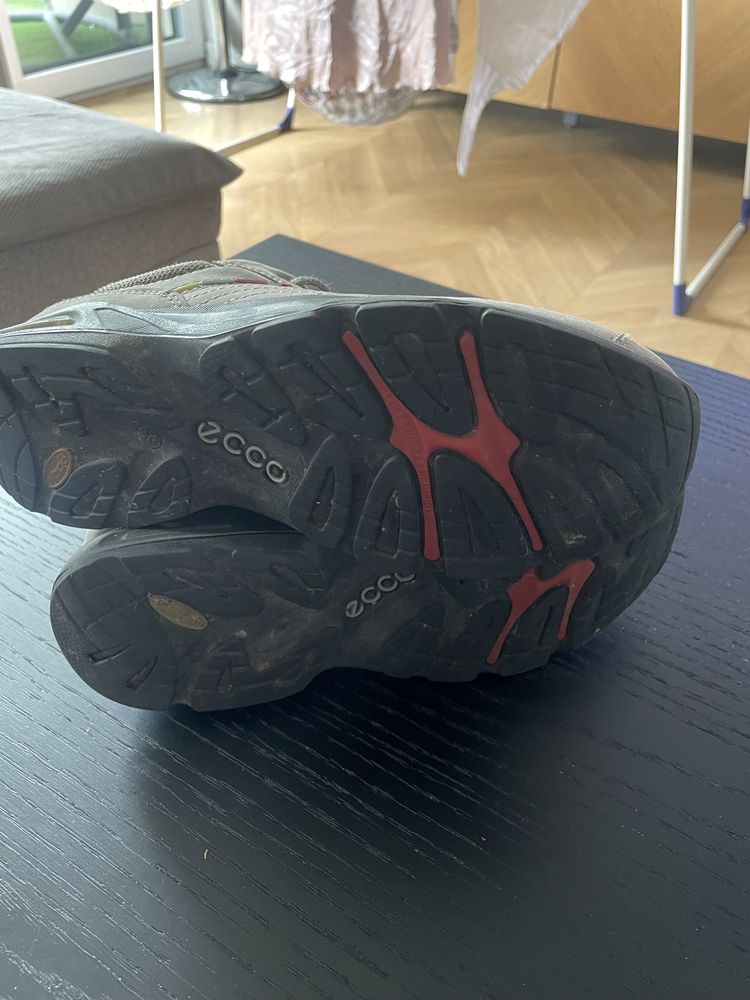 Buty ecco receptor