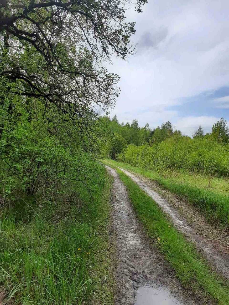 Панське озеро між Розважовом і Шевченково! 2Га