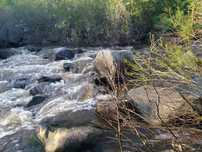 Terreno com 5.3 hectares