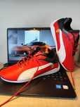 Puma Scuderia Ferrari Drift Cat 8
