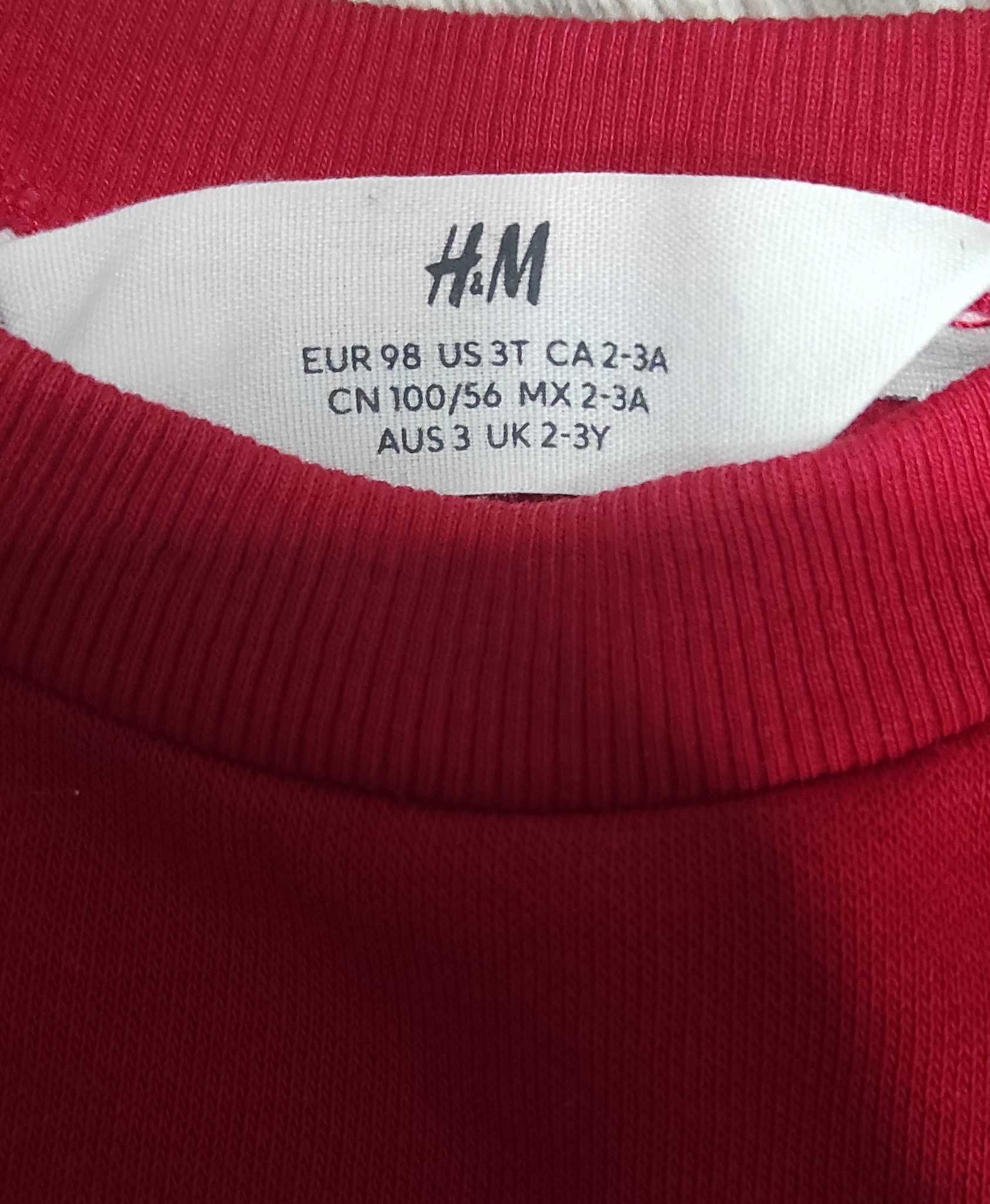 Дитячий спортивний костюм h&m