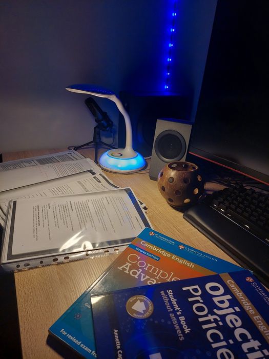 Korepetycje z języka angielskiego PUŁAWY/WARSZAWA