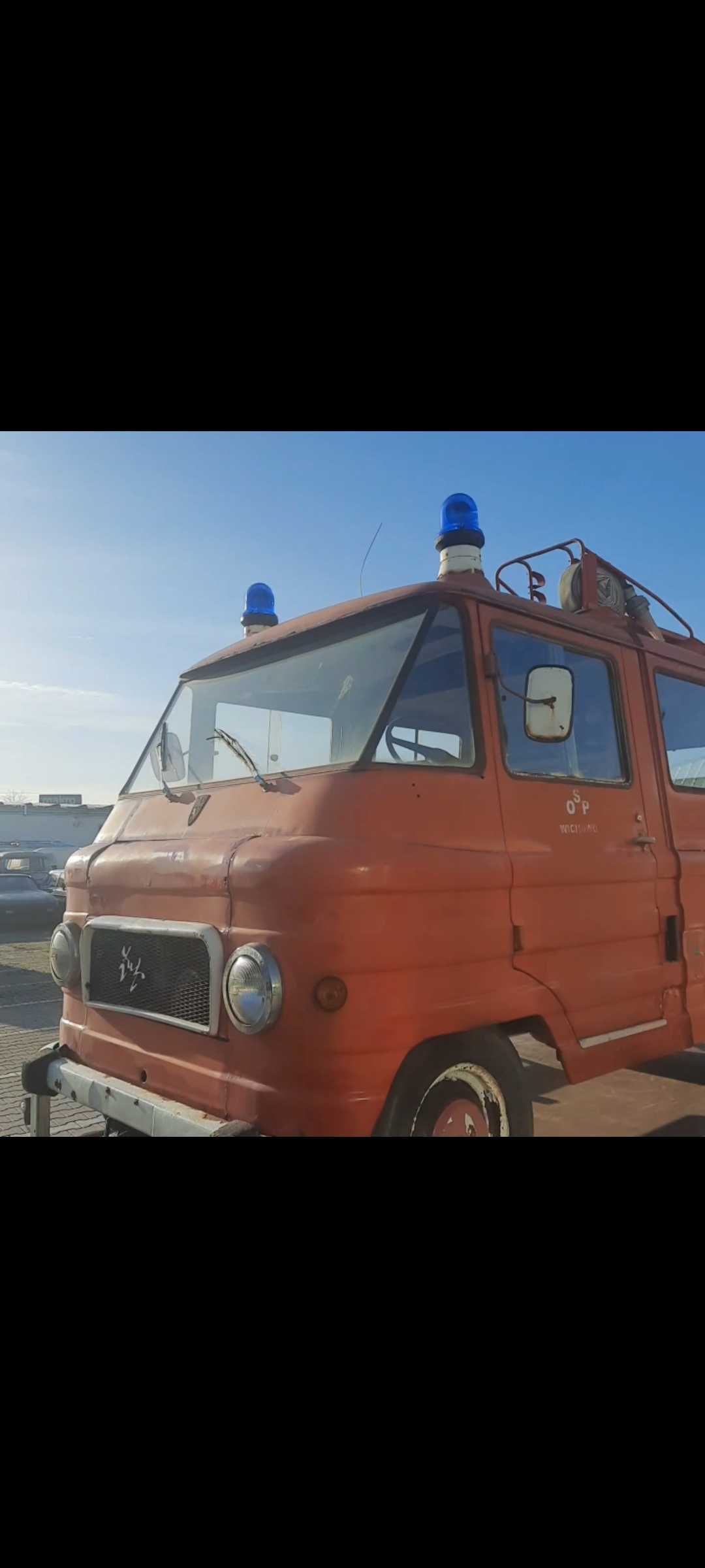 Piękny Żuk (smutek) Super Okaz.