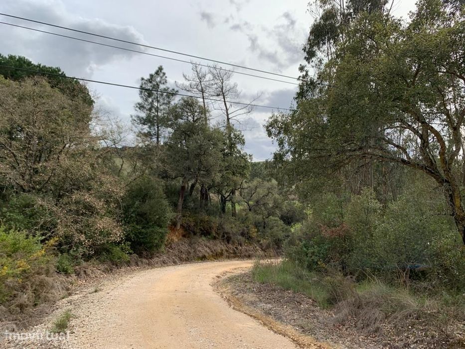 2 Hectares Rio Maior