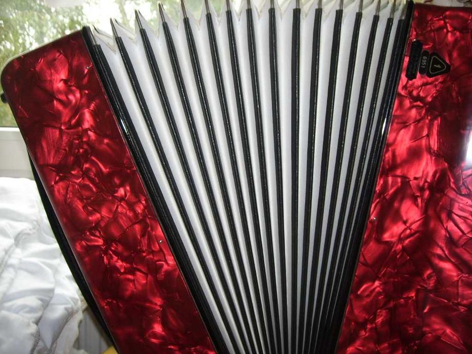 akoreon Weltmeister 4 ch. 80 basów