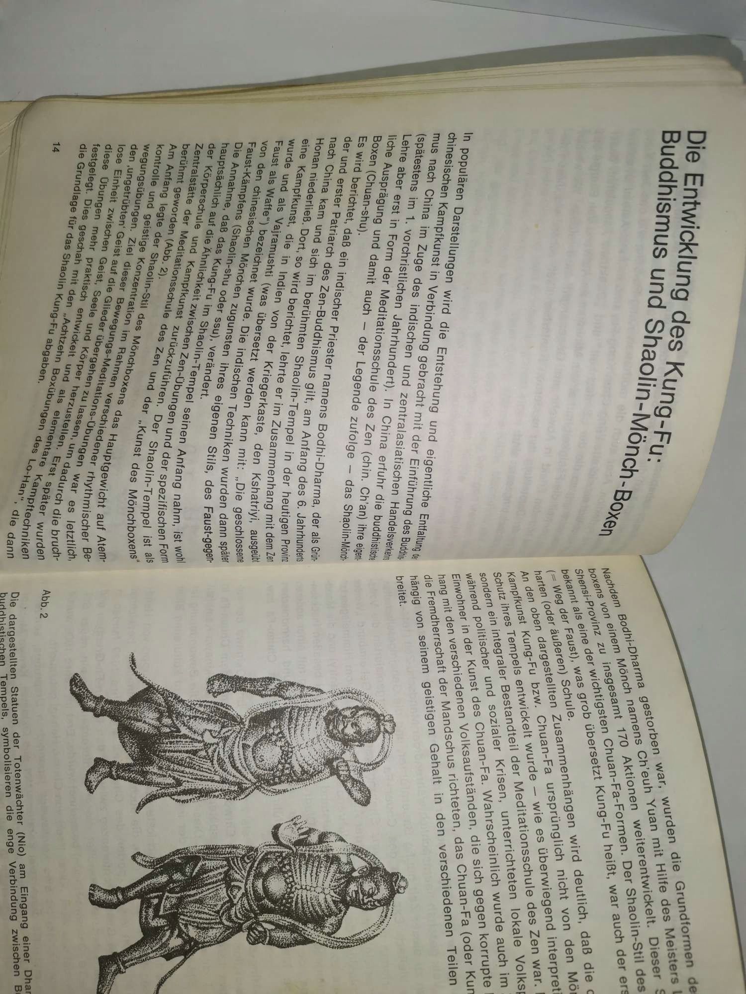 Kung Fu Theorie Und Praxis Klassischer Und Moderner Stile Pabst