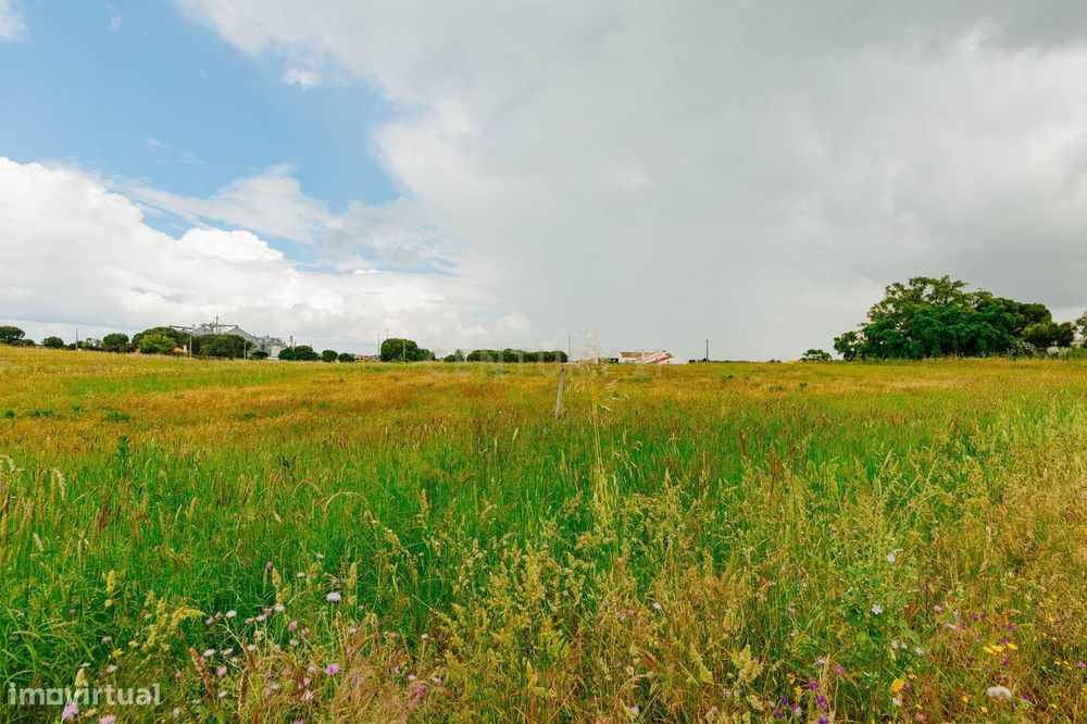 Terreno Urbanizável - Biscainho ( Coruche )