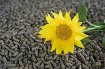 Pellet paliwowy.
