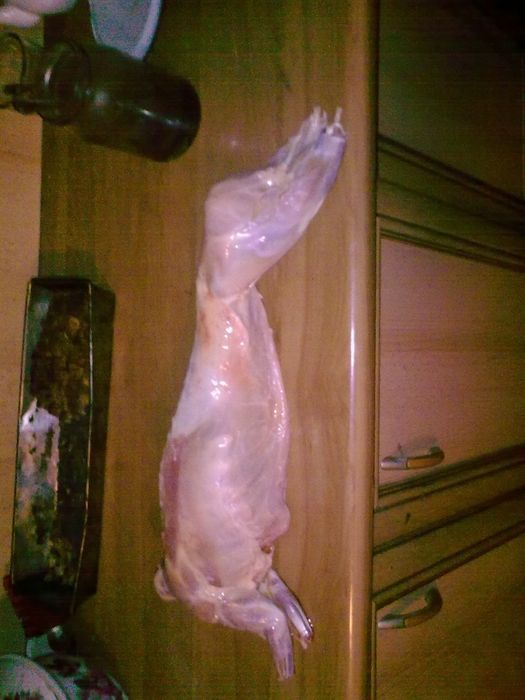 Mięso z  królika,tuszki