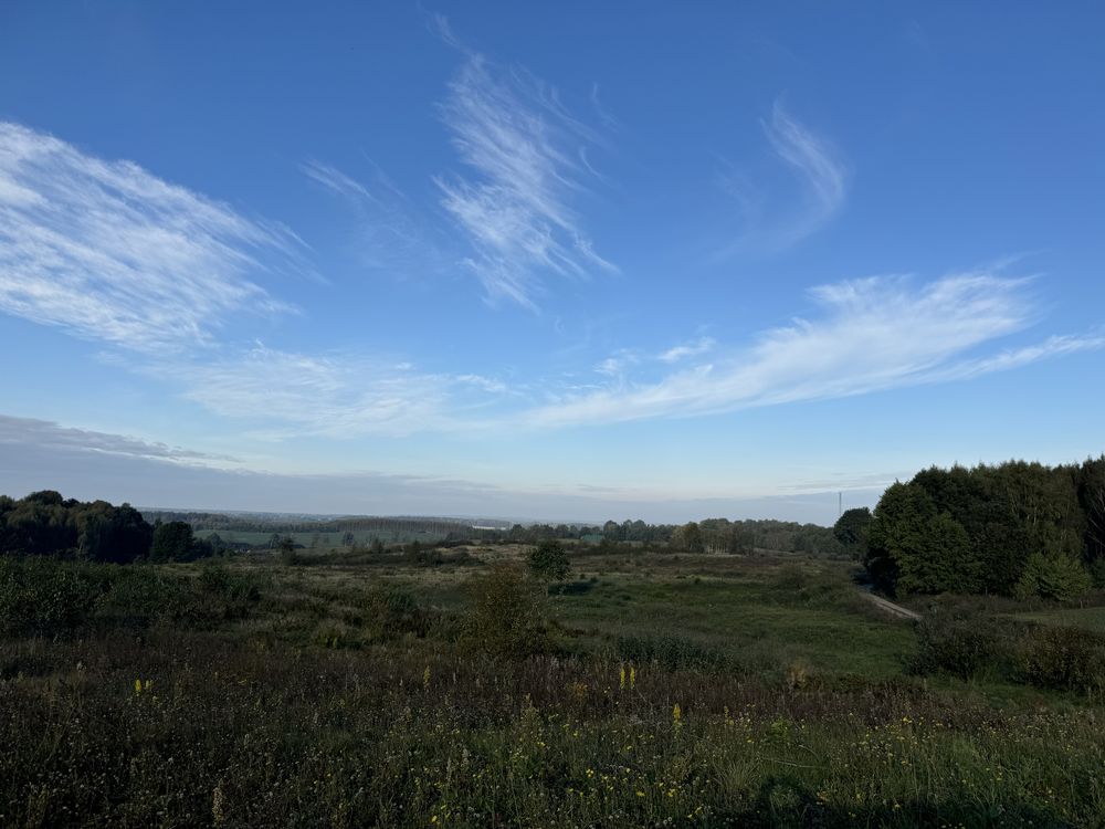 Na sprzedaż: 25,49 ha gruntów rolnych w gminie Godkowo