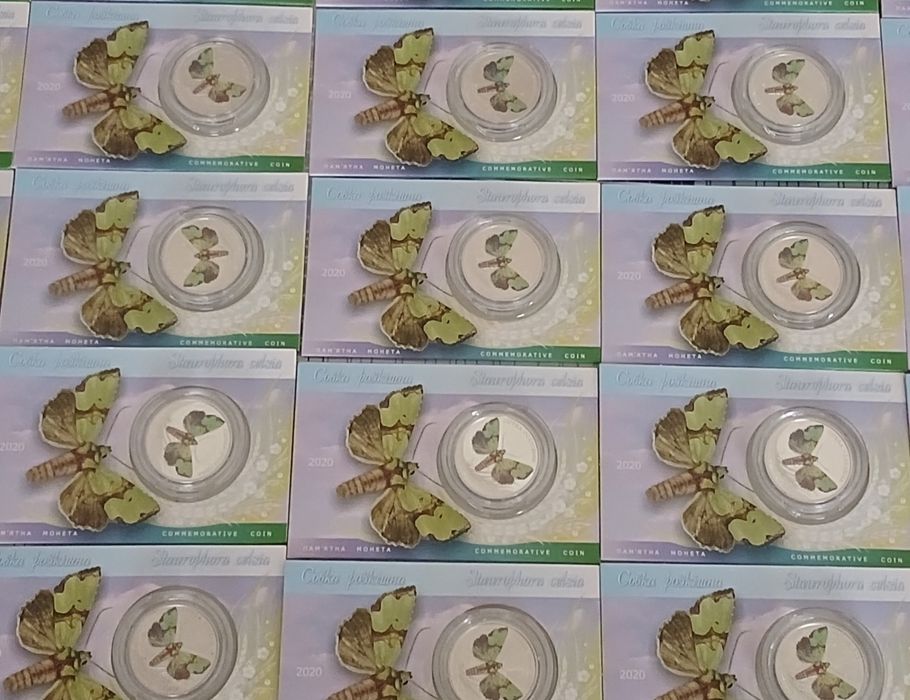 Совка розкішна (В упаковці)