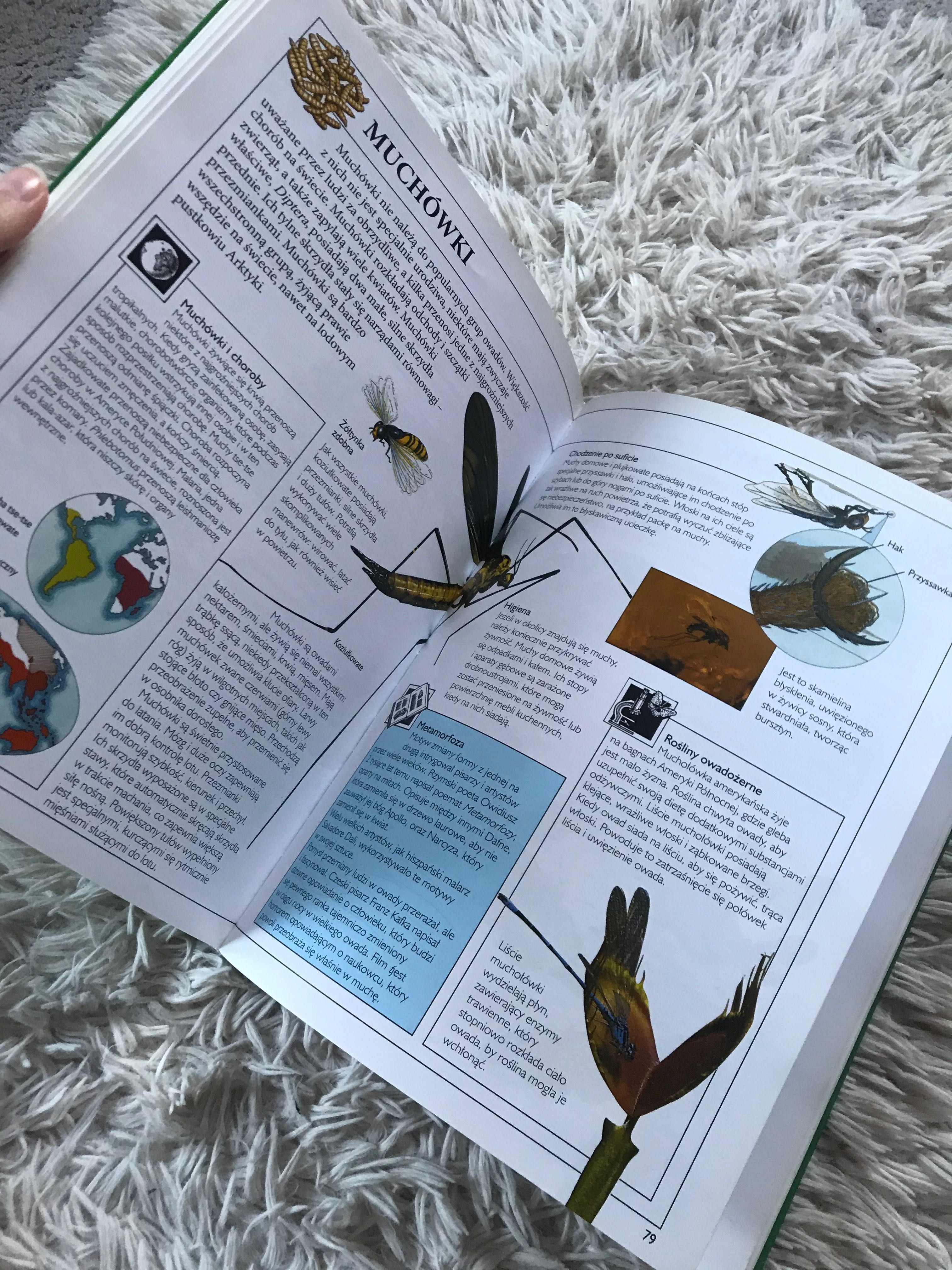Książka szkolna encyklopedia przyrody