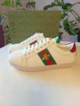 Kultowe Sneakersy Gucci. Wkładka 25 cm.