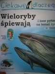 Ciekawe dlaczego wieloryby śpiewają