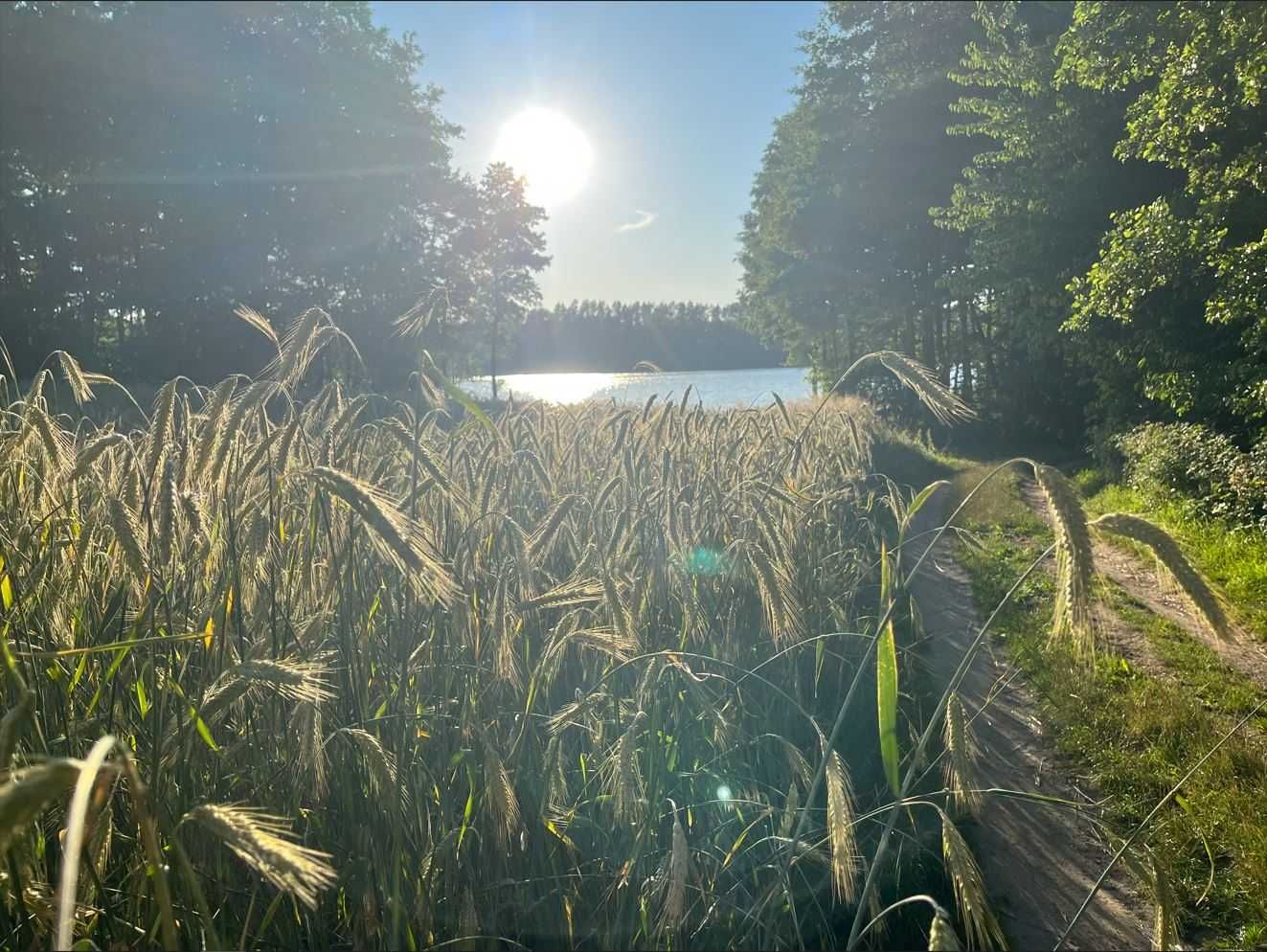 Dom letniskowy nad jeziorem Gowidlińskim na Kaszubach