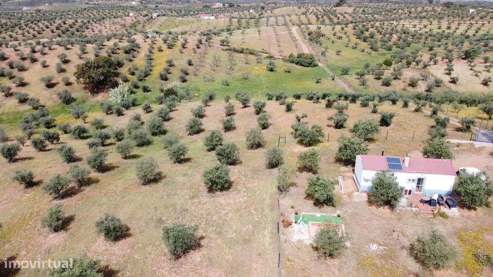 Terreno Rústico na Região de Portel, junto à Vila do Alqueva