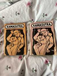 Kamasutra i inne reguły miłości P.E Lamairess książka