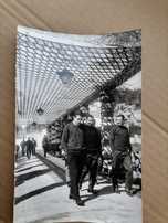 BENFICA Foto ORIGINAL Berna 1961 Campeão Europeu Coluna,Cavém,Augusto