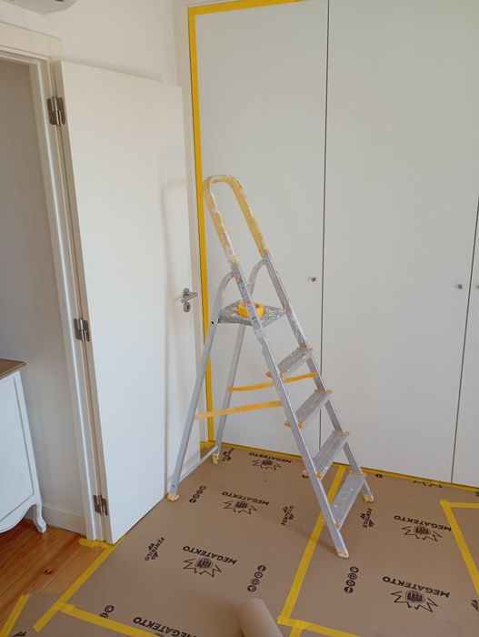 Pintor profissional