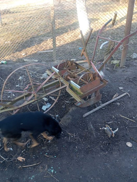 Сівалка кінна, в хорошому стані