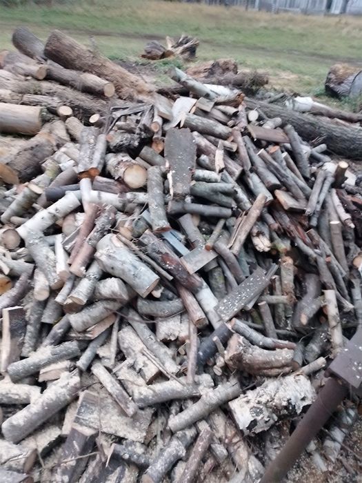 Drzewo opałowe rąbane. Sosna 200 zł m3