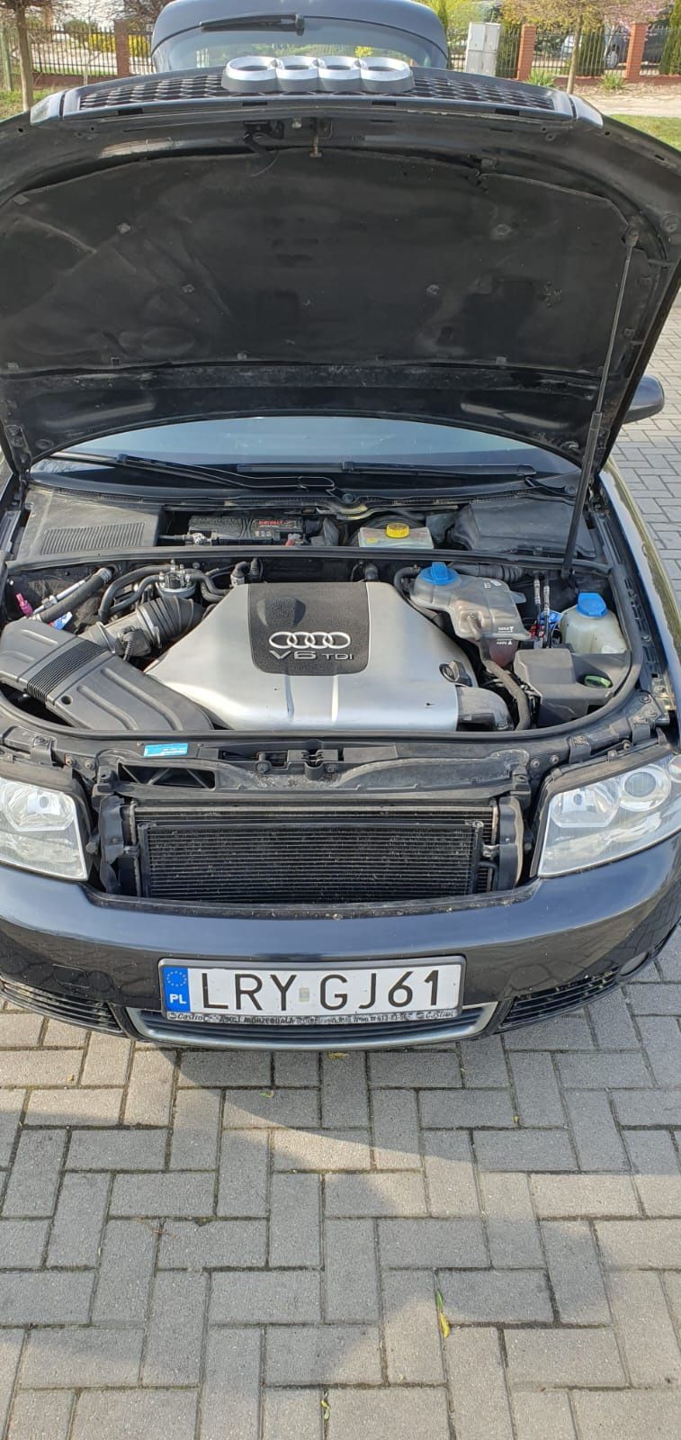 Audi A4 b6 2002 rok