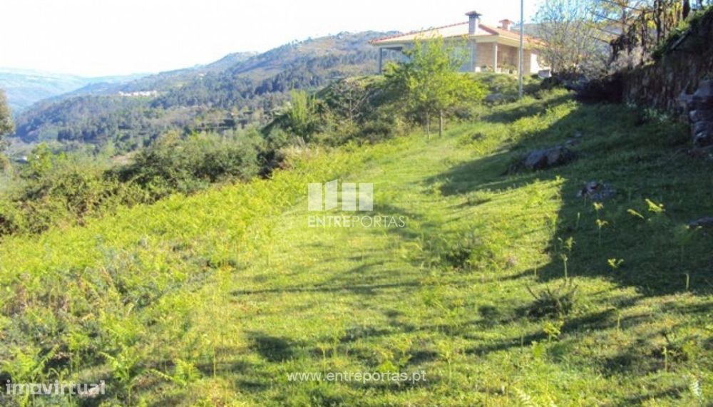 Venda Terreno, Cinfães