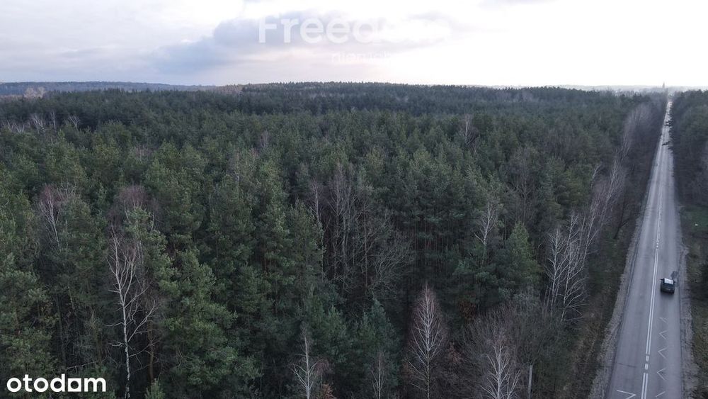 Działka 4000m2 z Warunkami zabudowy