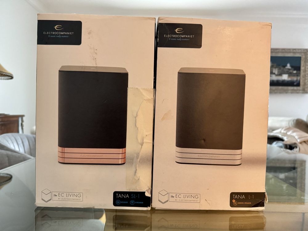 Colunas Activas all-in Electrocompaniet Tana SL-1  + L1