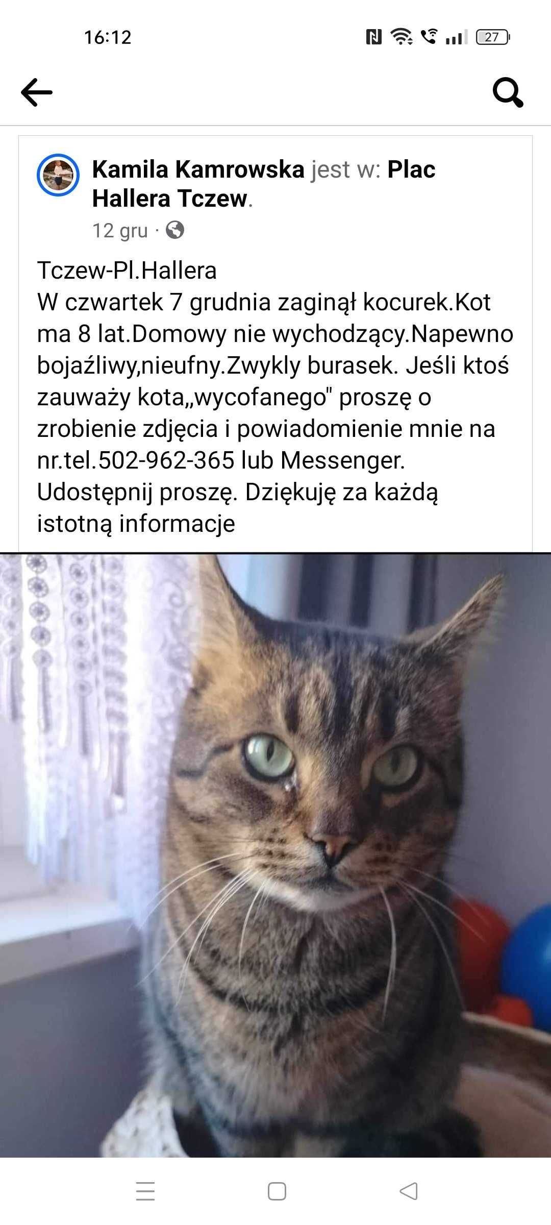 Zaginął kot Tczew