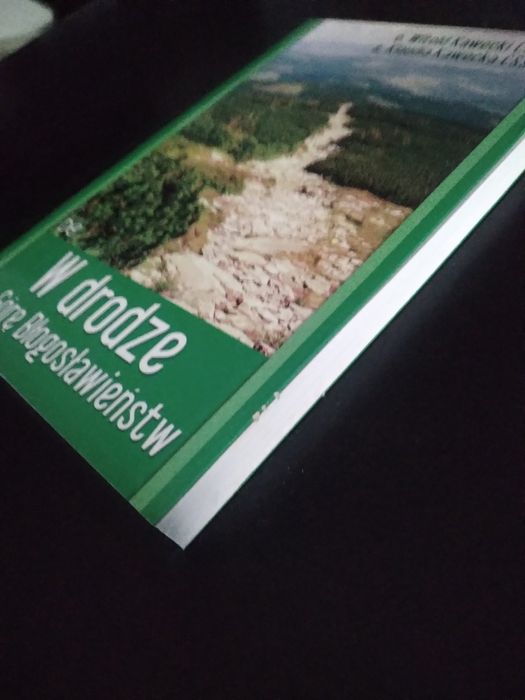 W drodze na Górę Błogosławieństw- o. W. Kawecki s. K. Kawecka
