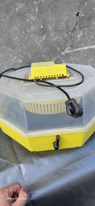 Inkubator do jaj Cleo 5