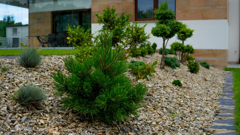 Kora kamienna 11-32mm żwir kamień gres granitowy kora grys łupek