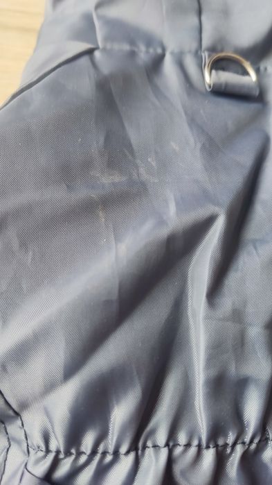 Kurtka przeciwdeszczowa płaszcz przeciwdeszczowy York chihuahua s