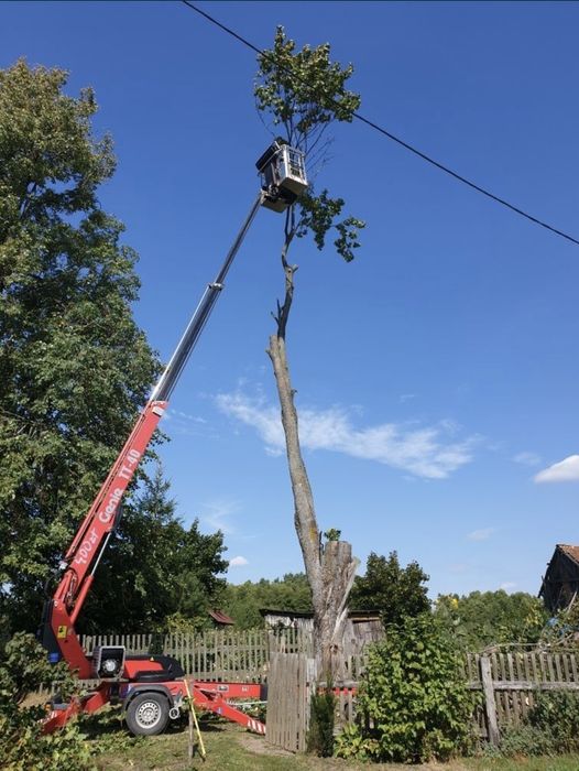Wycinka drzewn trudnych, wycinka drzew metodą alpinistyczną,