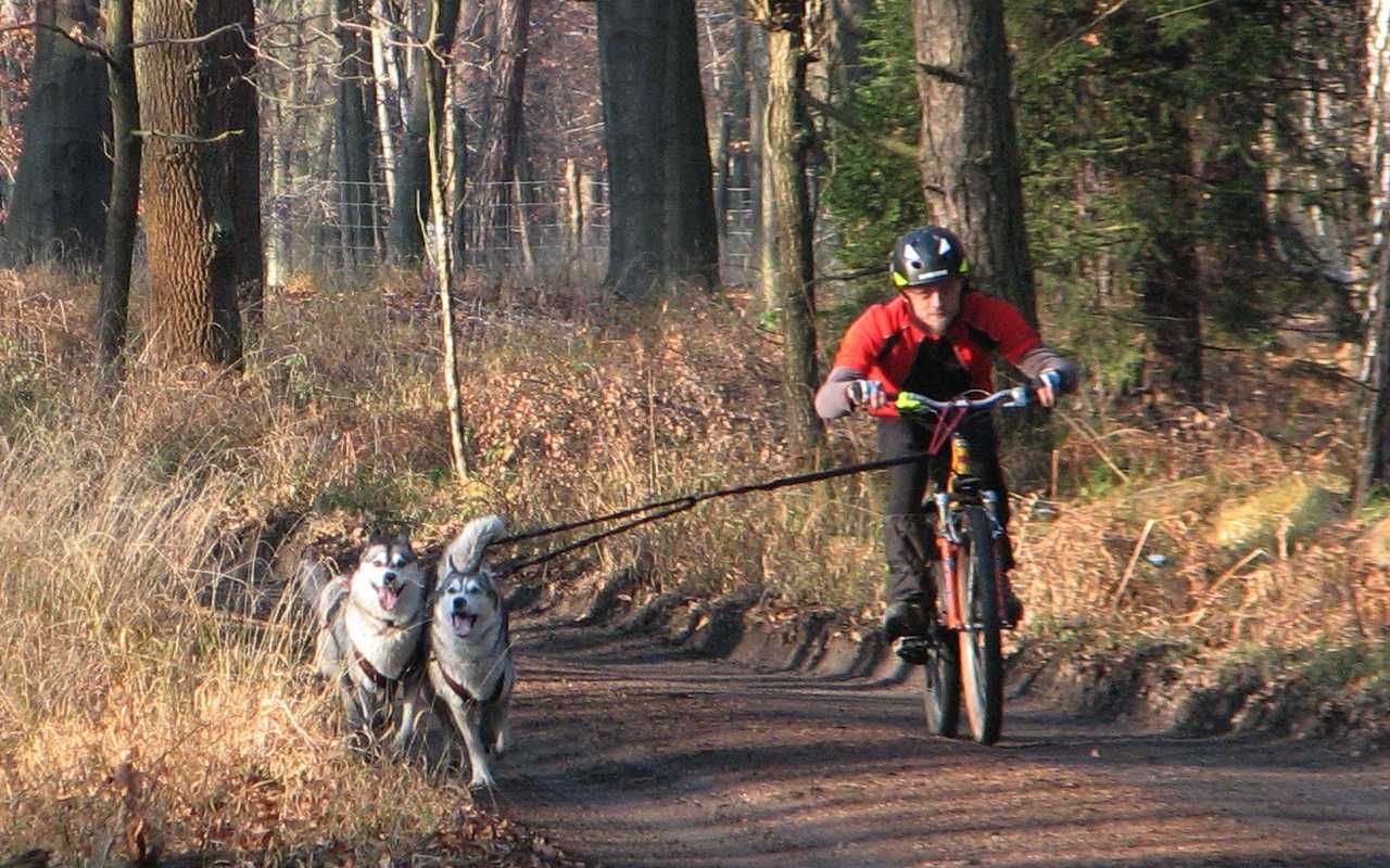 HIFICA ODNOGA do Liny Amort. Bike Trek 2.4 PP - Układ Y Dwa Psy